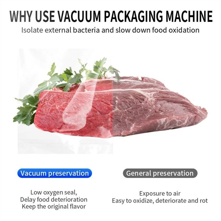 Vacuum Packing Machine