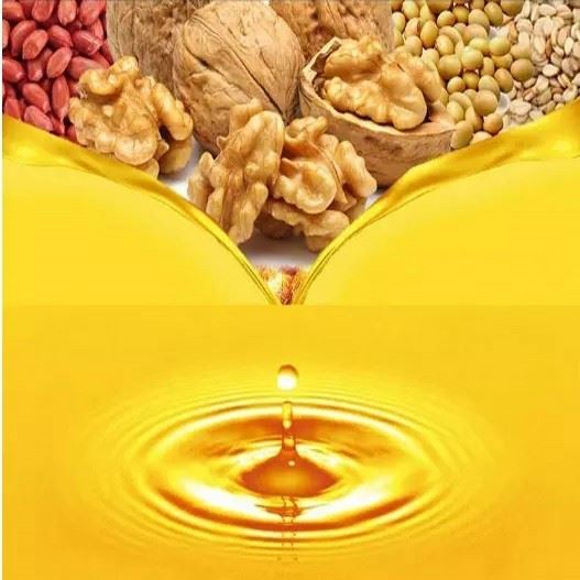 Small Cooking Oil Refinery