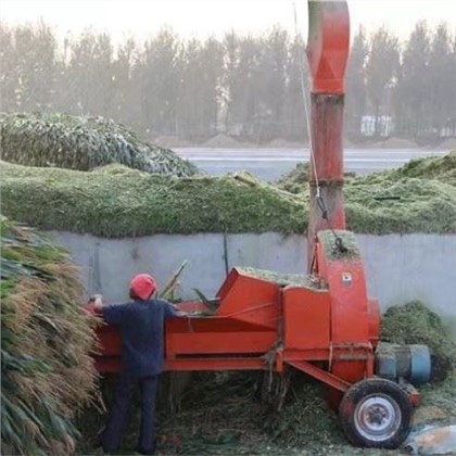 Masina de tocat iarba agricola