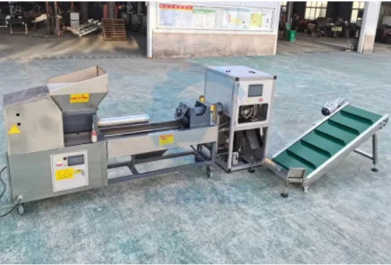 Mașină de ambalat cu întreținere redusă pentru ciuperci